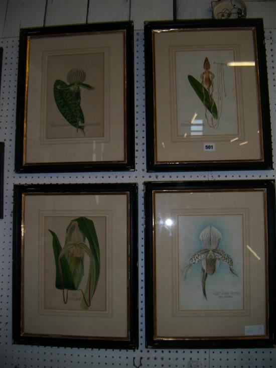 Four orchid prints
